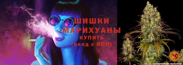 крисы Няндома