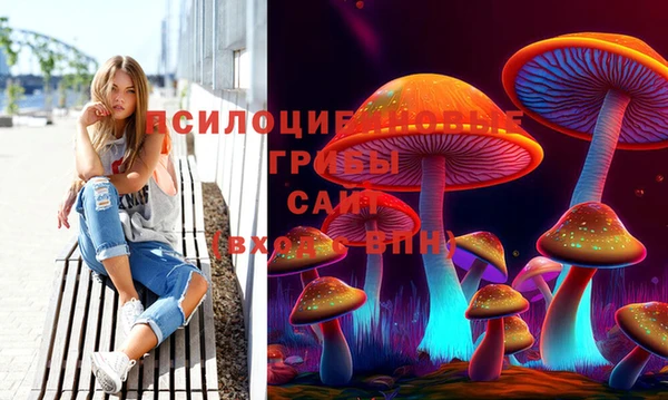 прущие грибы Нягань