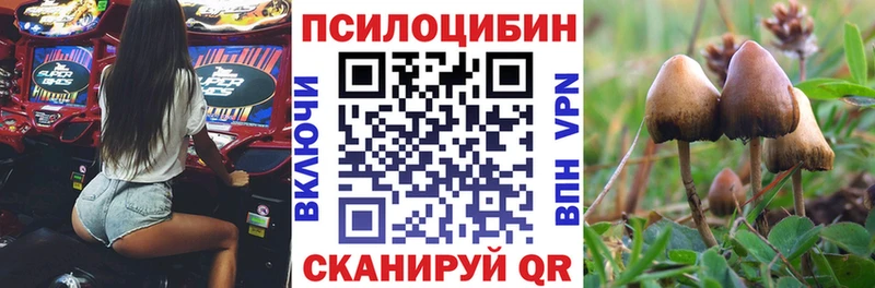 цена   Мензелинск  Галлюциногенные грибы мухоморы 